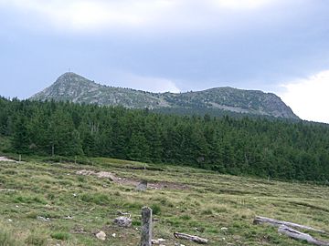 View of Mont_Mézenc