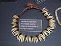 Nguni dog teeth necklace - Museum of Gems and Jewellery