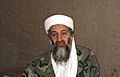 Osama bin Laden (cropped)
