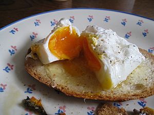 Poached egg on toast