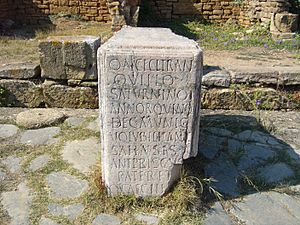 Roman carved stone Chellah