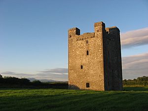 Roodstown Castle, Co. Louth - geograph.org.uk - 881262