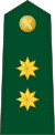 Spain-Civil Guard-OF-4.svg