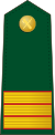 Spain-Civil Guard-OR-6.svg