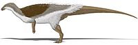 Thescelosaurus filamented