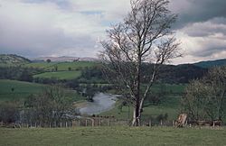 Wales Powys landscape near Foel