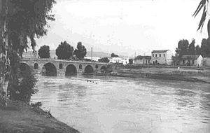 Oued Medjerda (1947)