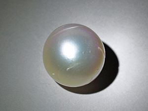 Pearl from Pinctada maxima (gold-lipped pearl oyster) 1