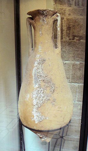 Amphora of the Beltran 2B type late 1st or 2nd century Betique Southern Spain found between Mogador and Pharaon islands