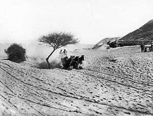 Australian Light Horse wagon and team near Jericho