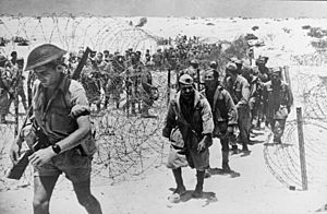 El Alamein Italian prisoners 1942