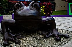 Frog sculpture in Callejones