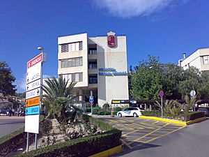 Hospital Rafael Méndez (Lorca-Murcia 2008)