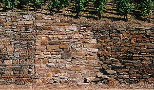 Kahllay Neumauer