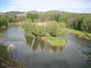 Manistee River