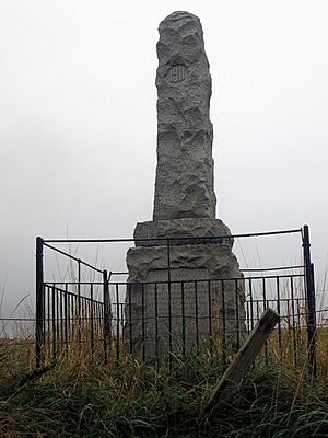 Monument to Donald Cargill (geograph 3684612)
