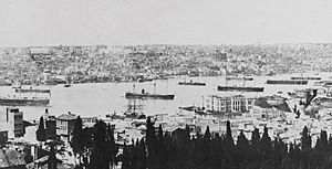 Ottoman ironclad fleet