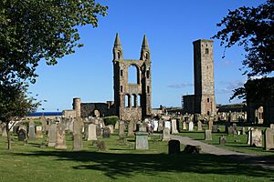 St Andrews cathedral and St Rules tower