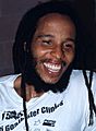 Ziggy Marley 1997