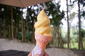 Mango Ice cream at Molave Milk Station