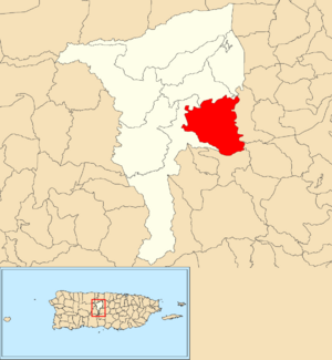 Location of Pozas within the municipality of Ciales shown in red