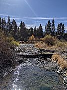 Cold Creek (Donner Creek tributary)