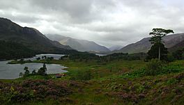 An upland lake surrounded by grass, heather and mountains