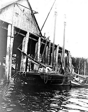 Halibut schooner CHRISTINE at wharf, Tee Harbor, Alaska, June 25, 1907 (COBB 113)