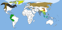 Map of Bear species distribution