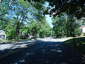 New Providence NJ leafy street on a summer day