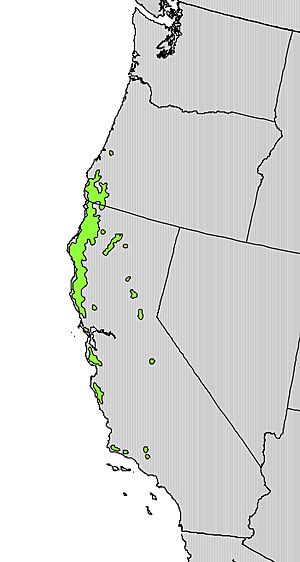 Notholithocarpus densiflorus range map.jpg