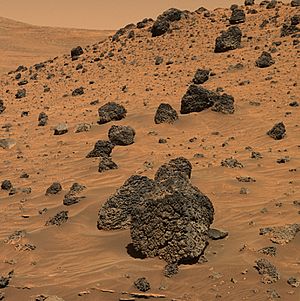 PIA08440-Mars Rover Spirit-Volcanic Rock Fragment