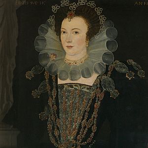 Portrait-of-Anne-Newdigate in 1592 (cropped).jpg