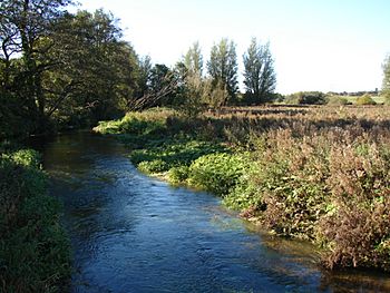River Nar at Castle Acre 2 - geograph.org.uk - 589465.jpg