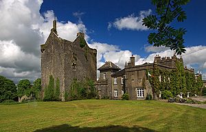 Springfield Castle, Broadford, Co Limerick - geograph-3037448