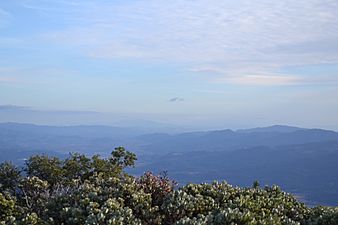 View from Mount Saint Helena