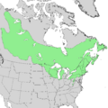 Alnus incana ssp rugosa range map 1