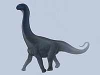 Cetiosaurus.jpg