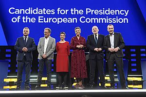 Debate of lead candidates for the European Commission presidency (40894703423)