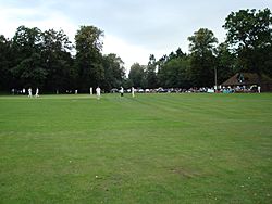Farnham cricket1