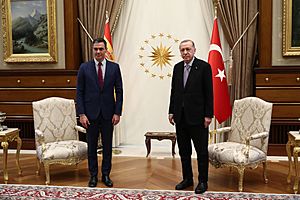 Pedro Sánchez visiting Recep Tayyip Erdogan in Turkey (1)