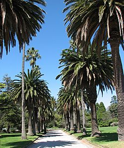 St Kilda Botanic Gardens.jpg