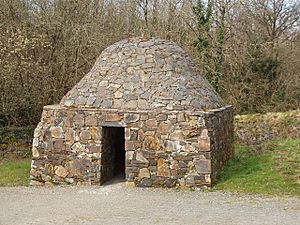 Stone domed beehive hut, Irish National Heritage Park - geograph.org.uk - 1254515