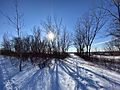 Toronto's Leslie Street Spit (Tommy Thompson Park) in the winter