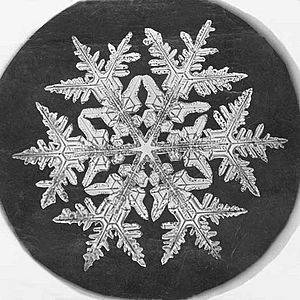Wilson A. Bentley snowflake, 1890