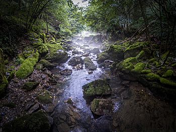 Посебни резерват природе Кањон Цврцке 3.jpg