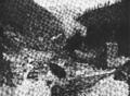 1904BurkeIdaho Tiger-Poorman Hecla Mine shafts