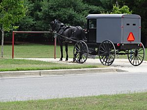 Amish horse and buggy parking space, July 2016.