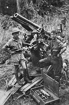 Captured Japanese Type 88 75mm near Buna-Gona
