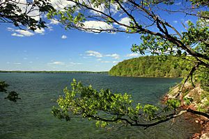 Gfp-new-york-wellesley-island-state-park-lake-and-shore.jpg